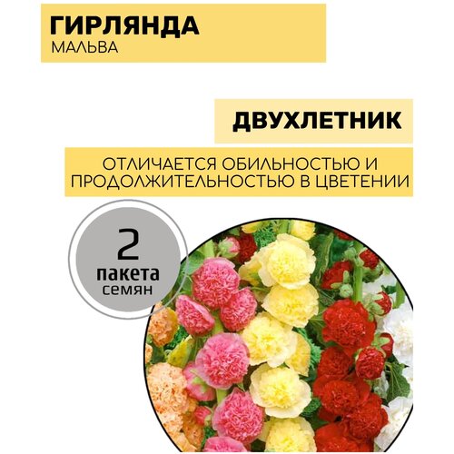 ������ ������ ����� ������ ��������, ����� 2 ������ �� 0,2� ����� ����