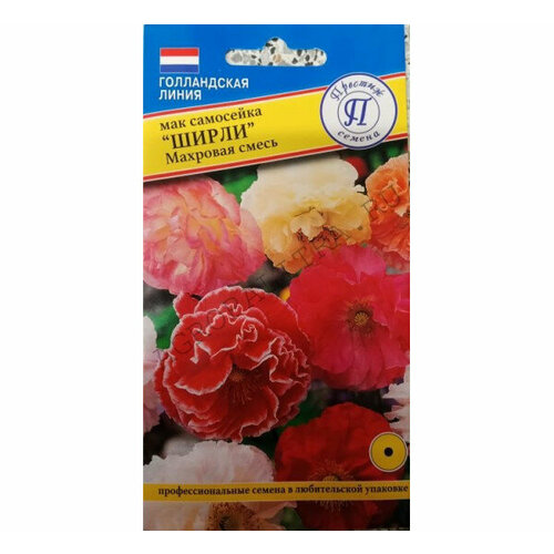 ������ ������ ������ ��� ����� �������� �����, ��������� 0.1� ��� ����� 80�� (�������) ����