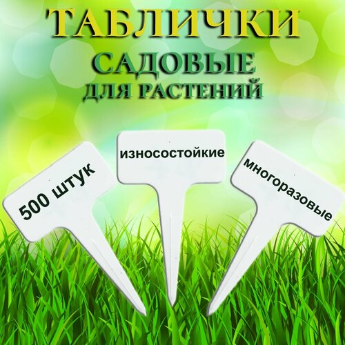 ������ ������ �������� ������� ��� ���������� ��������, 500 ���� ����