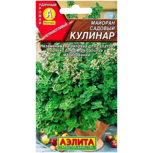 ������ ������ ������. ������� ������� 