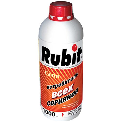 ������ ������ �����, ��������� 1� ����� ����