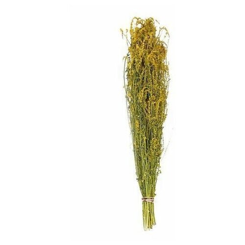 ������ ������ ������� ��� ���� ������, �����-��������, ��������, 1 ��. ����