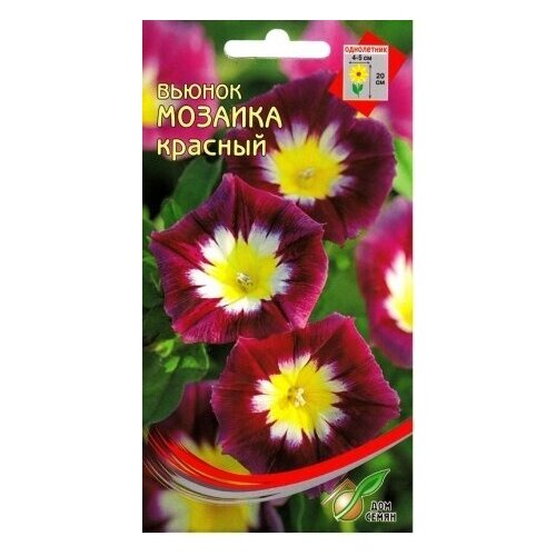 ������ ������ ������ ��� ����� ������ �������, �������, 44 ��. ����