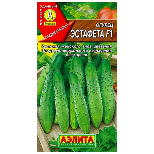 ������ ������ ������. ������ 