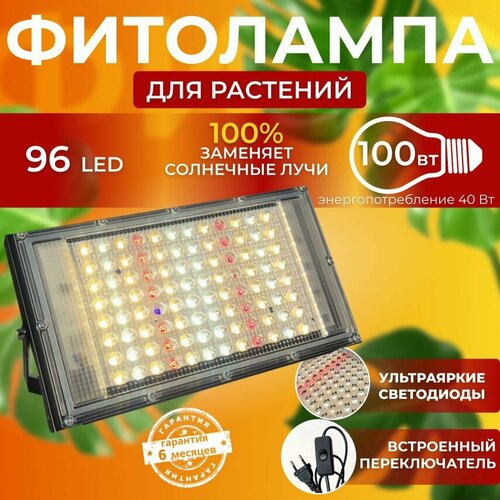 ������ ������ ��������� ��� ����������� �������� ������� ������ ������ �������������� ������������, ����� ��������� ��� ������ � �������� ����