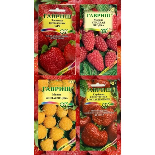 ������ ������ ������ ������� ���� ��������� ���� � ������� �������, ������ ������ � ������� ������ ����