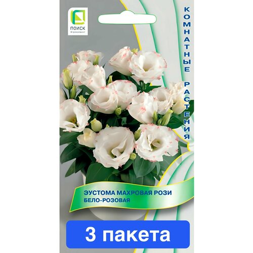 ������ ������ ����� ������� �������� ���� ����-������� 3 ������ ����