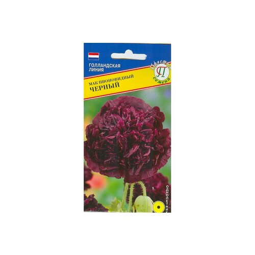 ������ ������ ������ ��� ������ ����������� 0,1� ��� 80�� (�������) ����