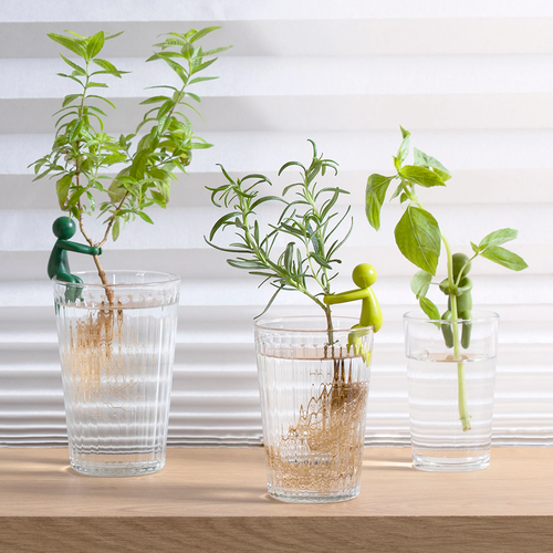 ������ ������ ��������� ��� ������������ �������� Peleg Design Leafriend, 3 �� ����