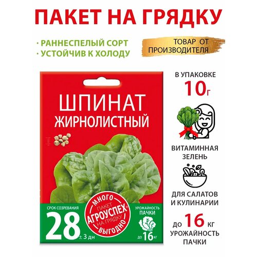 ������ ������ ������ ������� ������������� 10� ����