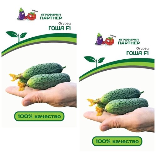 ������ ������ ������ ������ ���� F1 /��������� �������/ 2 �������� �� 5 ����� ����