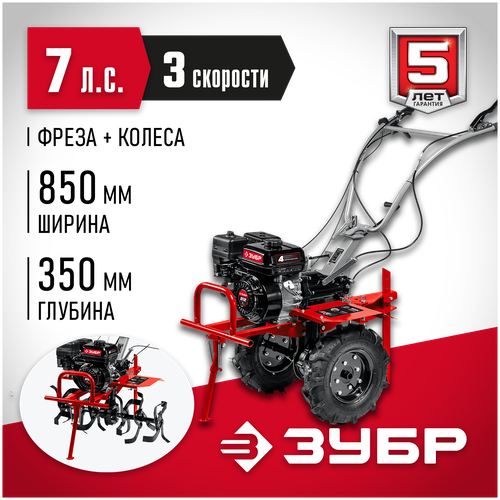 ������ ������ ���� 7 �. �, 212 ��3, �������� ���������� � ��� ���-500 ������ ����