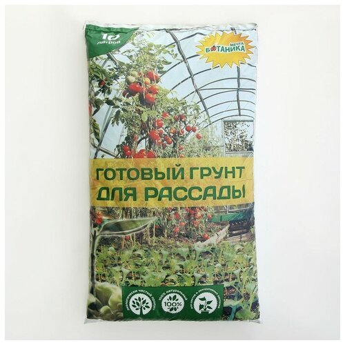 ������ ������ ����� 