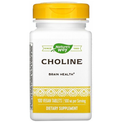 ������ ������ CHOLINE 500mg 100 tabs NW ����