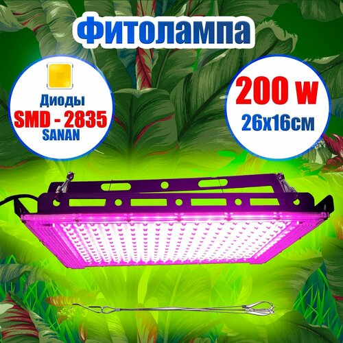 ������ ������ ��������� 200 ���� ��� ����������� ������� ����