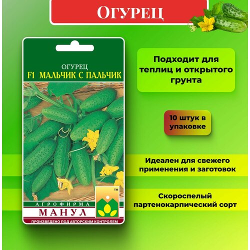 ������ ������ ������ ������ 