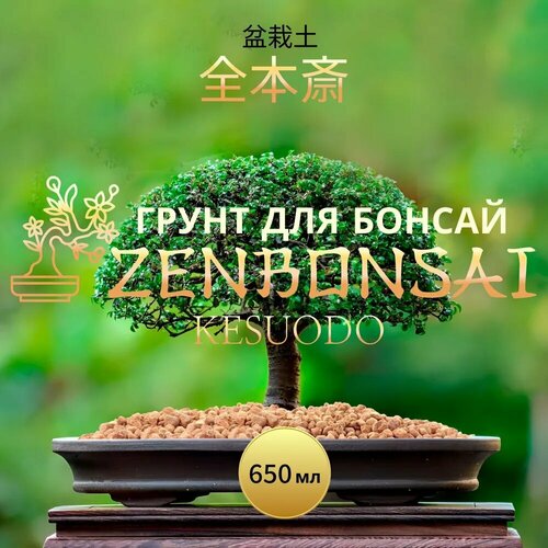 ������ ������ ����� ZENBONSAI 