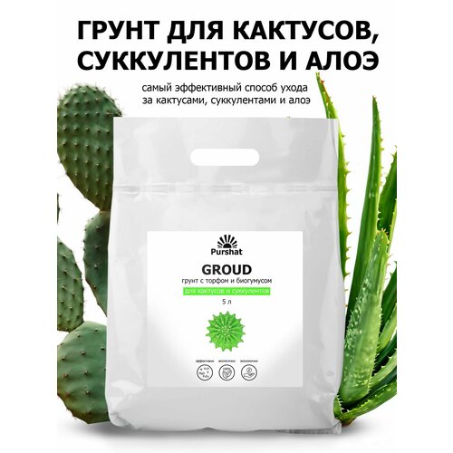 ������ ������ ����� (�����) ��� �������� � ����������� ������. ���������� � ������ � ���������� ��� ��������� (Purshat) 5 � ����