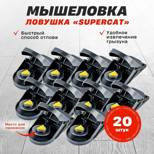 ������ ������ ����������� ��������� SuperCat, 20 ��. ����