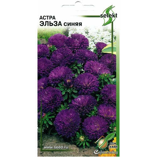 ������ ������ ����� ����� �����, 45 ����� ����