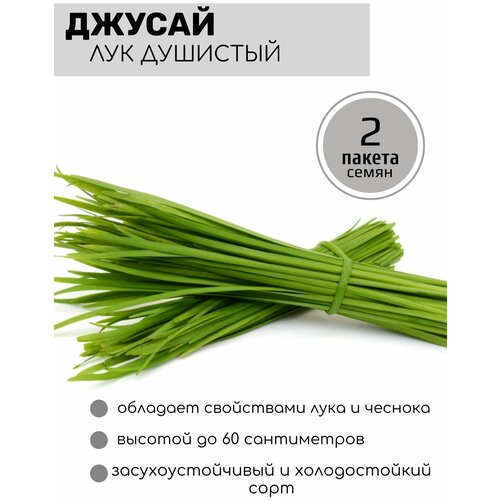 ������ ������ ��� �������� ������ 2 ������ �� 0,5� ����� ����