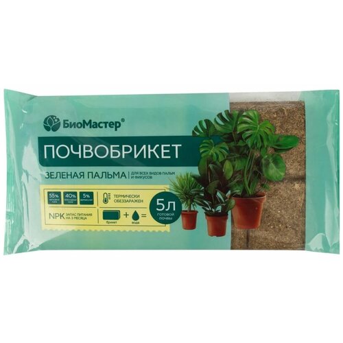 ������ ������ ��������� ����������� � ����������� ������ ������, 5� ����