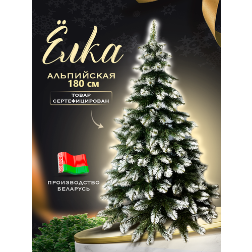 ������ ������ ���� ������������� 