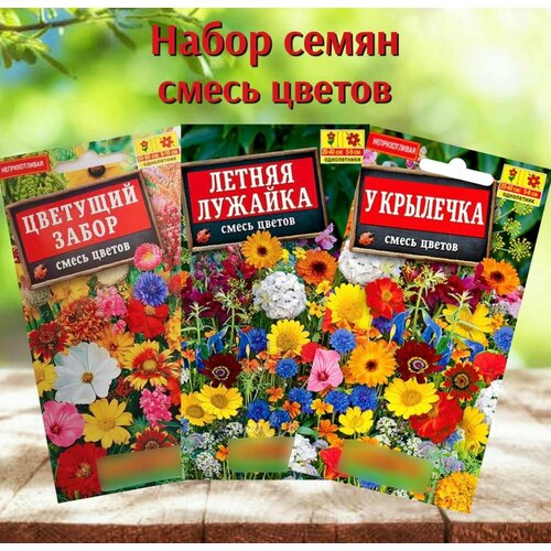 ������ ������ ������ ������ ��� ���� ����� ������ 3 �������� ����