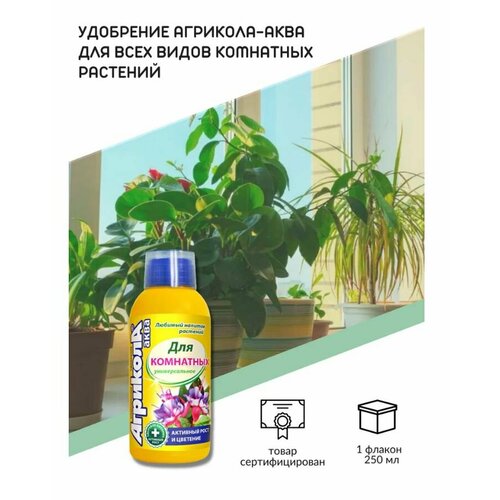 ������ ������ �������� ���� ��� ��������� �������� 250 �� ����