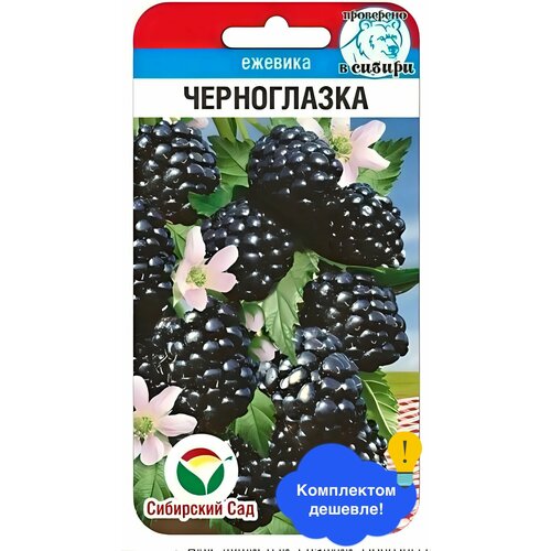 ������ ������ ������ ������ ��������� ��� 