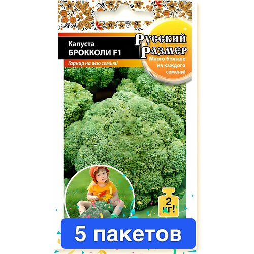 ������ ������ ������ ������ ������� ������ 