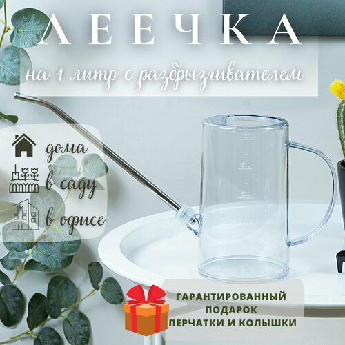 ������ ������ ����� ��� ������ 1 ���� ����