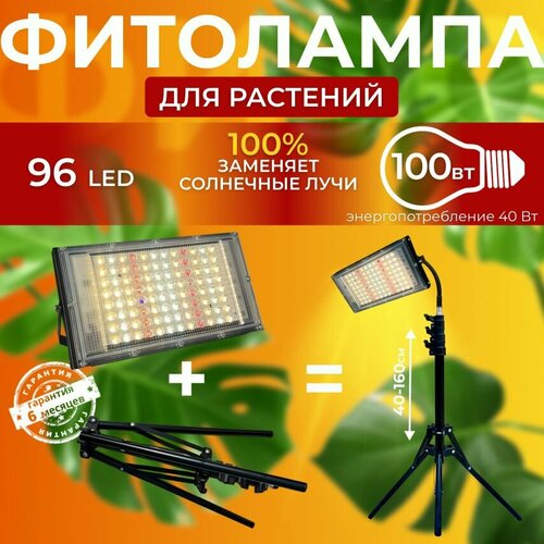 ������ ������ ��������� ��� ����������� �������� ������� ������ ������ �������������� ������������, ����� ��������� ��� ������ �� ������� ����