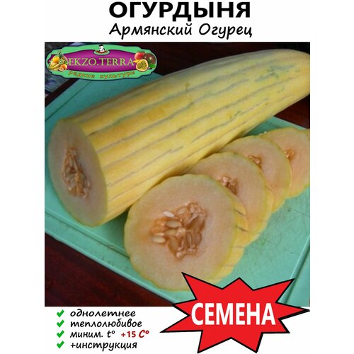 ������ ������ ������ ��������, ��������� ������ 10 ��. ����