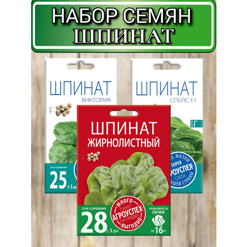 ������ ������ ������ ������ ��������� ������: ��������, ������������, ����� ����