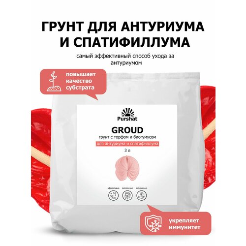 ������ ������ ����� ��� ��������: ����������, �������������, �������, �������������, ��������, ����������, ������� (Purshat) 3 � ����