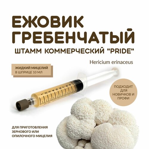 ������ ������ ������ ������� ������� ������������ 