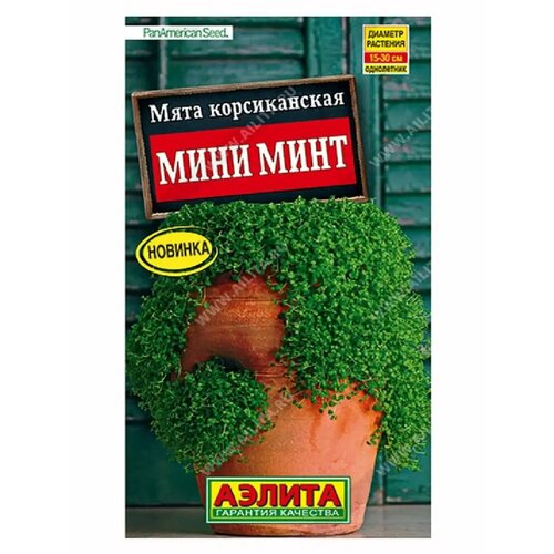 ������ ������ ������. ���� ������������ 