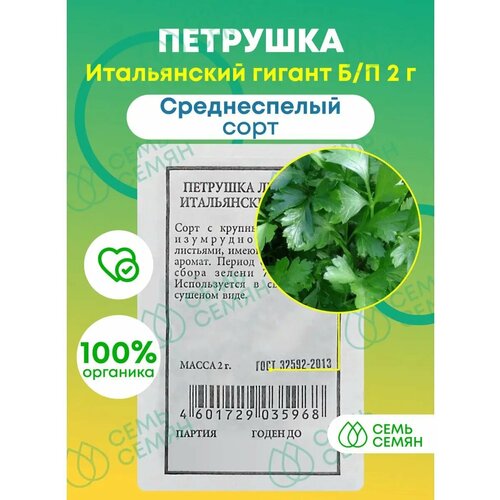 ������ ������ ������. �������� 