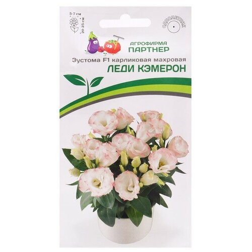 ������ ������ ������ ������� ��������������� ���������� �������� 