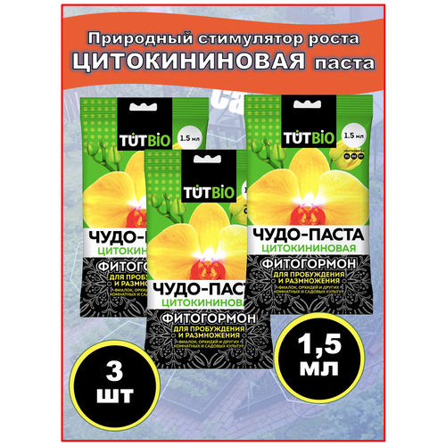 ������ ������ ������������� ����� ����