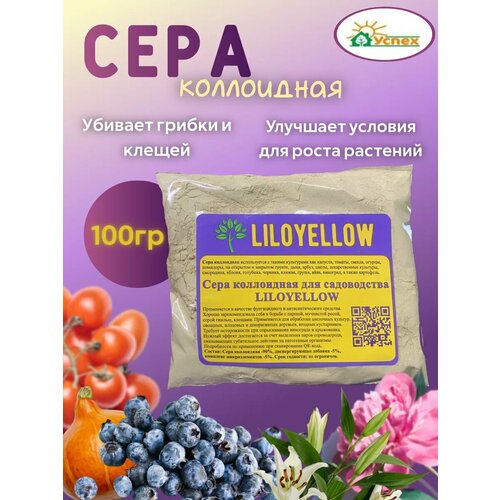 ������ ������ ���� ���������� ��������� 100�� ����