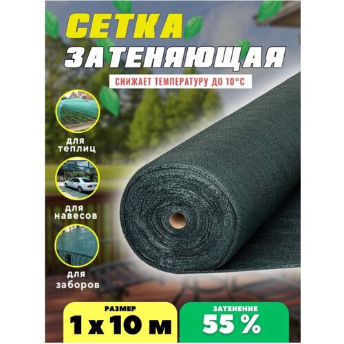 ������ ������ ����� ���������� �������, ��������� 55%, ������ 1�10� ����