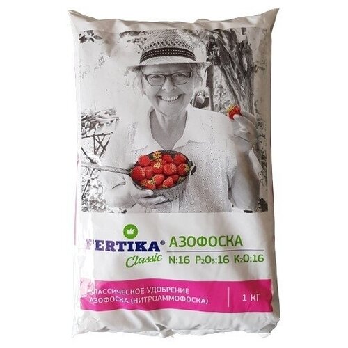 ������ ������ ��������� ������� �������� ������� ����