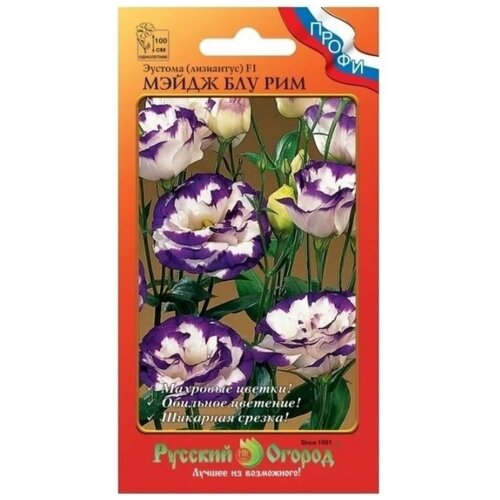 ������ ������ ������ ����� ������� 