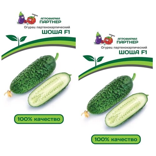 ������ ������ ������ ������ ���� F1 /��������� �������/ 2 �������� �� 5 ����� ����