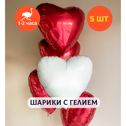 ������ ������ ������ ��������� �� ���� ��������, ��������� ���� � ������, ���� � ���� ��������, ����� ����� ��� ������� 