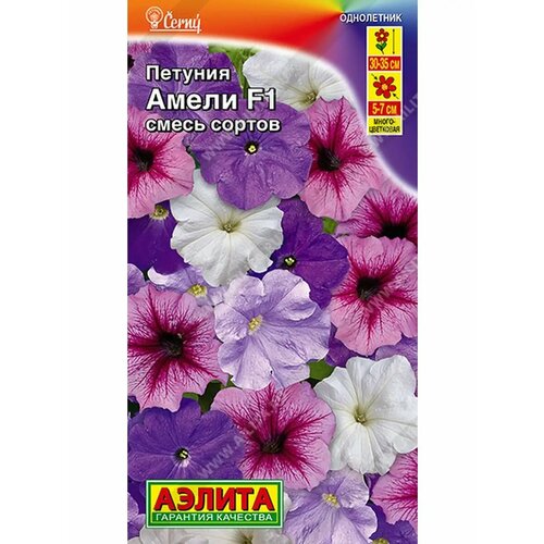 ������ ������ ������. ������� �������������� 