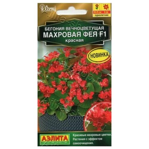 ������ ������ ������� ������������� �������� ��� ������� F1 ( 3 �������� ) , ������ ����