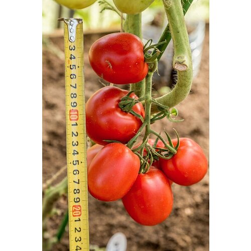 ������ ������ ������ ������ 